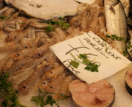 Crayfish at the Rialto Fish Market in Veniceの写真素材