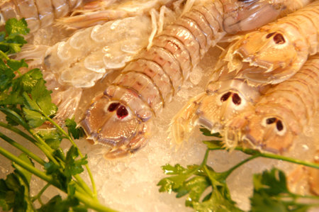 Crayfish at the Rialto Fish market in Veniceの写真素材