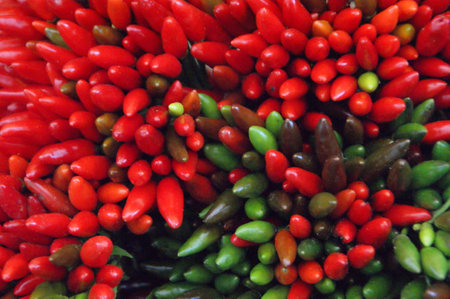 Red and green peppers at the Rialto marketの写真素材