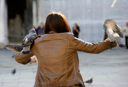 Pigeons in San Marco Square, Veniceの写真素材
