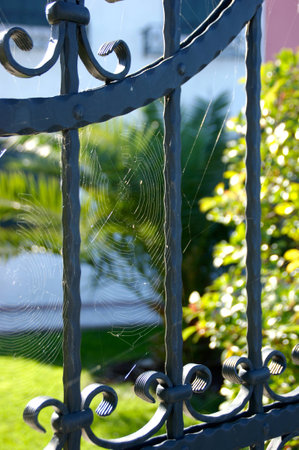 Iron gate in Burano, Veniceの写真素材