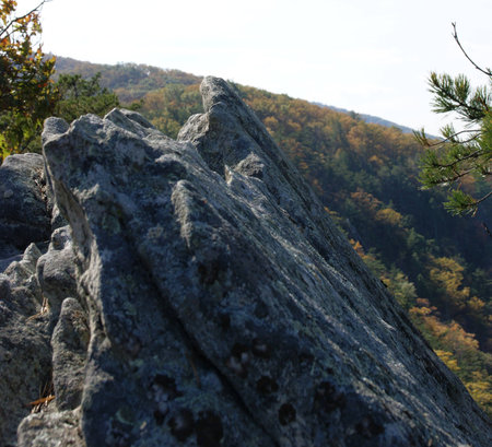 Rock at McKee Beshers Gardenの写真素材