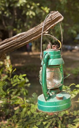 green camping lantern hanging on the branchの写真素材