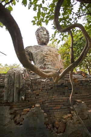 Ruin buddha image in the forestの写真素材