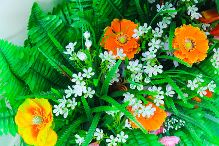 The Beautiful and Colorful Thai Flowers taken under natural lightの写真素材