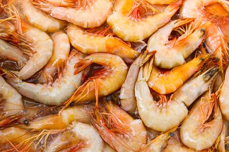 A lot of fresh shrimps keep on iceの写真素材