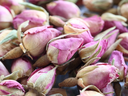 rosesの写真素材