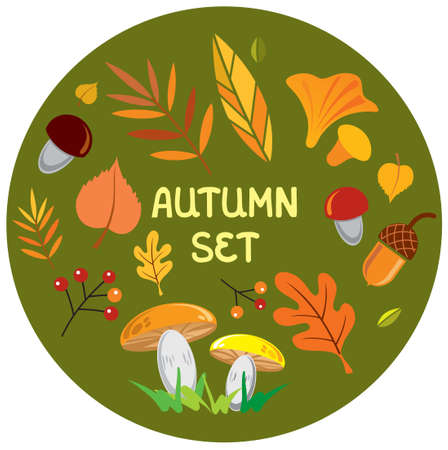 autumn set, vector illustration, leaves, berries, mushrooms, acornsのイラスト素材