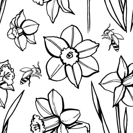 seamless vector pattern. Flower outline, line art of narcissus, bud, hand draw illustration, sketchのイラスト素材