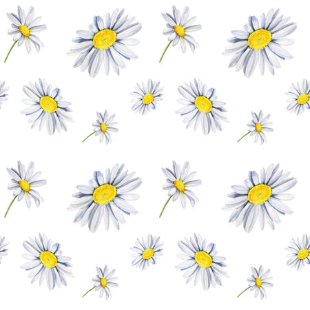 seamless pattern with daisies, wildflowers, watercolor hand drawn illustrationの写真素材