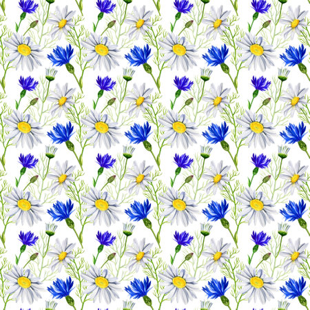seamless pattern with daisies, cornflowers, wildflowers, watercolor hand drawn illustrationの写真素材