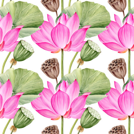 watercolor seamless pattern of pink lotus flower, buds and leaves, hand drawn illustration of spa and yoga theme, sketch of purple and magenta water lily, Asian tropical flower isolated on white background, for spa and yoga blogs and salon decorationの写真素材