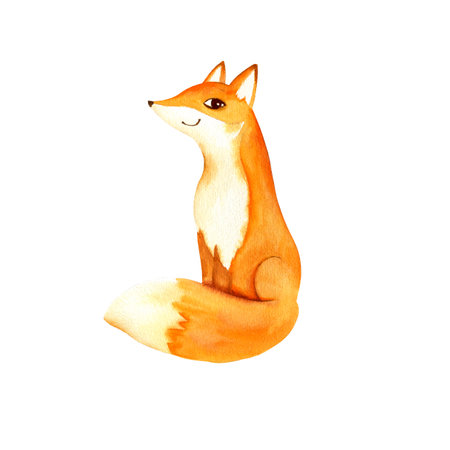 watercolor smiling adult red fox, cute forest animal fox, sketch of cartoon, funny, fluffy animal, illustration on white background, for children postersの写真素材