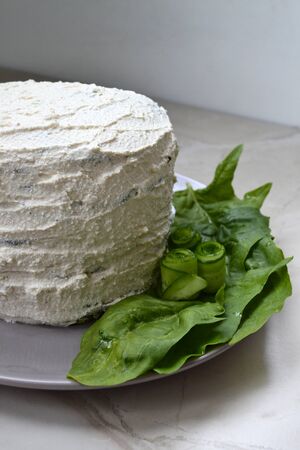 Homemade spinach cakeの写真素材