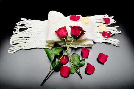 Two red roses intertwined with red petals on a black background over a scarfの写真素材