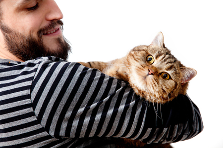 Bearded man with his beautiful cat on white background.の写真素材