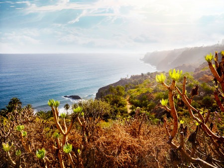 Impressive view of the mountainous and coastal landscape of the island of Tenerife. Maritime landscape, Canary Islands, Spain.の写真素材