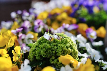 Luxury wedding rings, on background colored flowersの写真素材