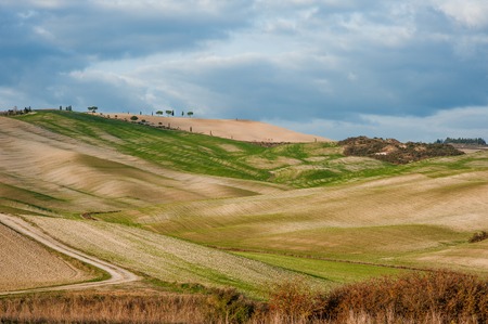 Panoramic view of Tuscan farmland countryside landscape with rolling hills, Tuscany, Italy, Europeの写真素材