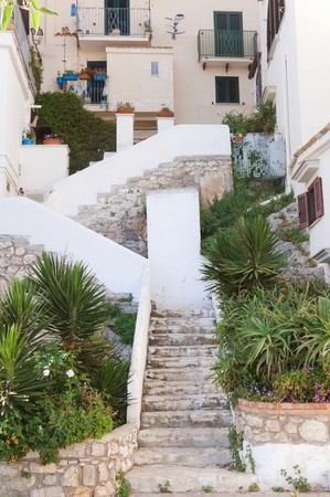 Atmospheric narrow streets in the historic center of Sperlonga in central Italy.の写真素材