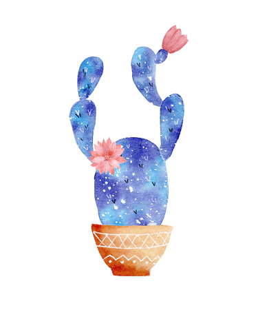 Watercolor galaxy handpainted cactus plant isolated on white background. Cute clipart flowering cactus.Perfect for your project, cover, wallpaper, pattern , gift paper, wedding invitation.の写真素材