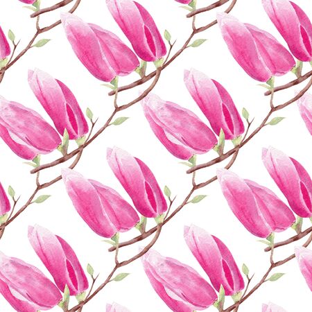 Magnolia branch hand drawn watercolor seamless pattern. Blossoming exotic flower raster texture. Closed flowerheads on white background. Gentle pink buds wallpaper, backdrop designの写真素材