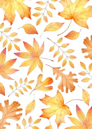 Forest flora, autumn leafage seamless watercolor raster pattern. Golden maple, oak and elm leaves decorative background. Fall herbarium, botanical wrapping paper, wallpaper textile designの写真素材