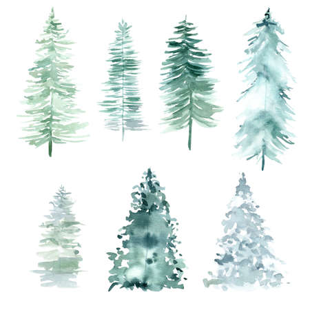 Watercolor forest pine trees for Christmas and Happy New Year. Hand painted clipart isolated on white background.の写真素材