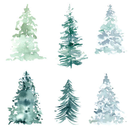 Watercolor pine trees clipart. Hand painted illustration for winter and christmas graphics, invitations, cards, packaging, diy scrapbooking.の写真素材
