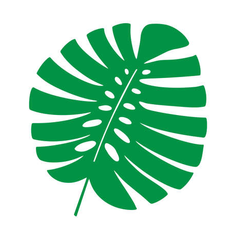 Tropical leaf vector illustration on white backgroundのイラスト素材