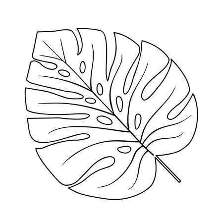 Tropical leaf vector illustration on white backgroundのイラスト素材