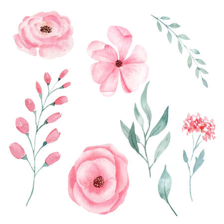 Set of hand painted pink watercolor flowers and greenery leaves.の写真素材