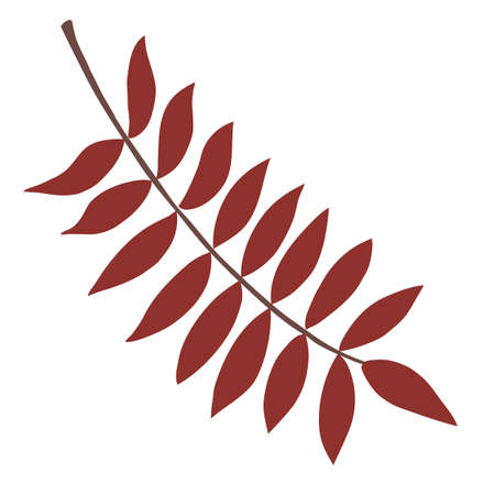 Automn Leaf Vector Icon Illustration in flat design.のイラスト素材