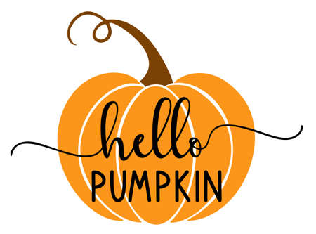Vector autumn quote Hello Pumpkin with autumn pumpkin isolated on white background.のイラスト素材