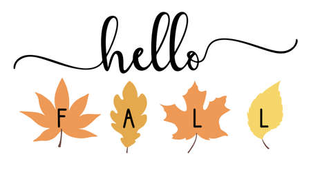 Vector autumn quote Hello Fall with autumn maple leaves isolated on white background.のイラスト素材
