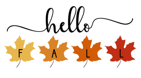 Vector autumn quote Hello Fall with autumn maple leaves isolated on white background.のイラスト素材
