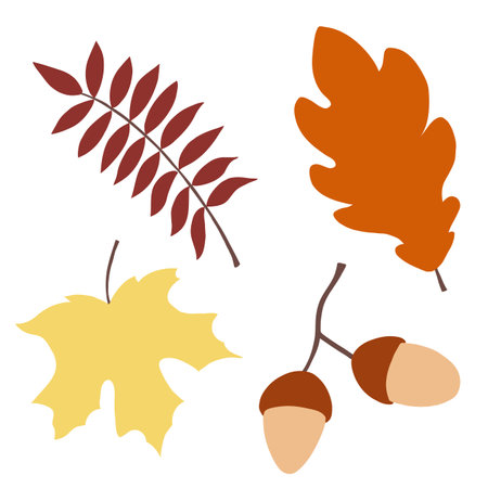 Automn Leaf Vector Icon Illustration in flat design.のイラスト素材