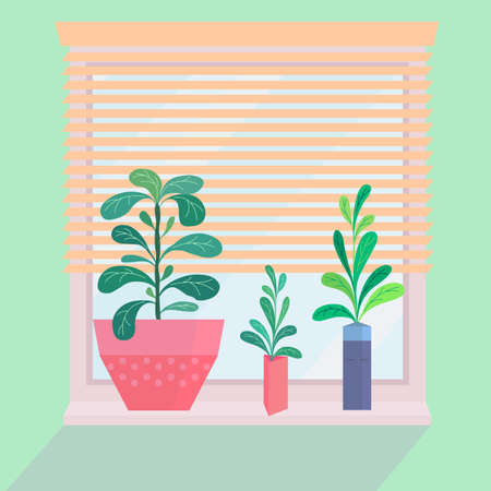Indoor plants on the window with jalousie. House plants in design pot with drawn human face and in triangular vase. Home gardening. Flat style vector illustrationのイラスト素材