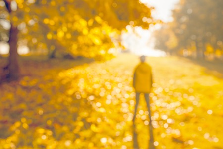 Blurred happy child standing among golden yellow foliage and trees in the park alley with lights bokehの写真素材