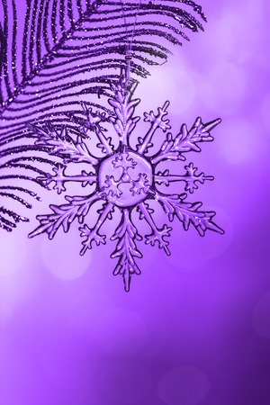 Chrystal transparent glass snowflake on feather branch in proton purple shades, close upの写真素材