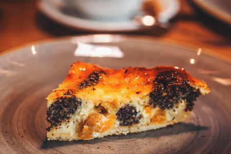 Delicious piece of cottage cheese and poppy cake on plate in a cafe with copy spaceの写真素材