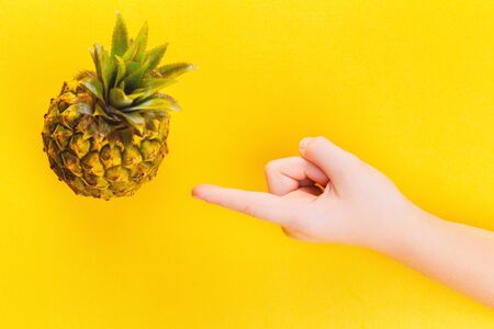 baby pineapple inside wooden frame on bright warm glowing summer yellow background. Exotic concept...