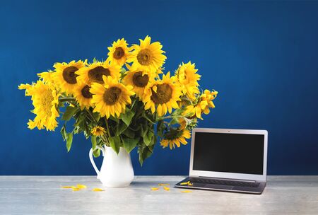 Sunflowers in white vase and a laptop on wooden desk with blue color blocks background. Vibrant flowers greeting card backdrop freelance coworking copy spaceの写真素材