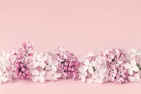 Assorted tender monocrome lilac spring summer flowers garland on pink background with copy space. Birthday celebration or wedding invitation cardの写真素材
