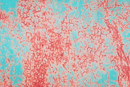 Texture uneven. Old grungy cracked blue weathered wall paint peeling off rusted coral metal sheet....