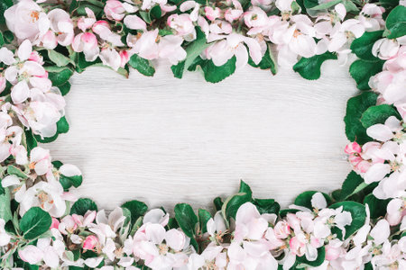 Spring border. blooming with white and pink flowers fruit tree branches frame on white wood. Flat lay mockup with copy space, freshness concept for invitation or celebrationの写真素材