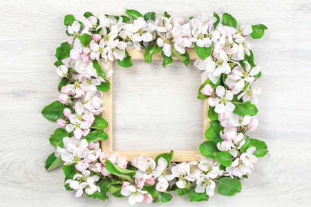 Spring border. blooming with white and pink flowers fruit tree branches frame on white wood. Flat lay mockup with copy space, freshness concept for invitation or celebrationの写真素材
