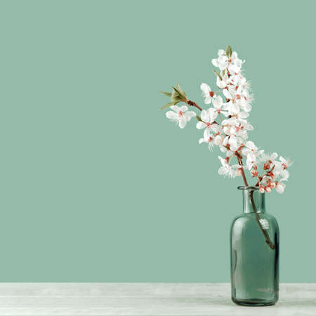 Spring or summer festive blooming with white flowers fruit tree branches in a small glass vase against tender pastel green background. Fresh floral wide background banner with copy spaceの写真素材