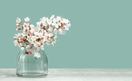 Spring or summer festive blooming with white flowers fruit tree branches in a small glass vase against tender pastel green background. Fresh floral wide background banner with copy spaceの写真素材