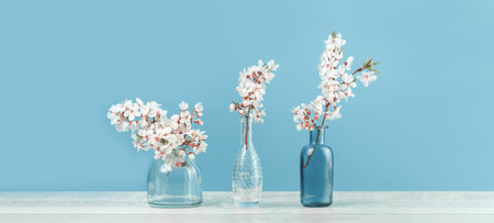 Spring or summer festive blooming with white flowers fruit tree branches in three small glass vases against tender blue background. Fresh floral wide background banner with copy spaceの写真素材